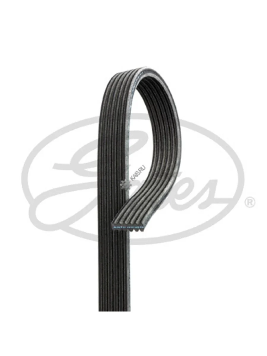 Ремень приводной поликлиновой 6DPK1352 GATES  в Керчи Республика Крым