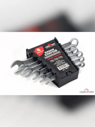 Набор Ключей Комбинированных 6 Шт. (Холдер) 8-17Мм Холодный Штамп Cr-V Proffi Сервис Ключ (70010) СЕРВИС КЛЮЧ арт. 70010
