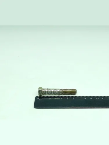 Болт М10*1,5*60 Кронштейна Опоры  Двигателя (Уп. 10 Шт) Красная Этна арт. 201509-п29