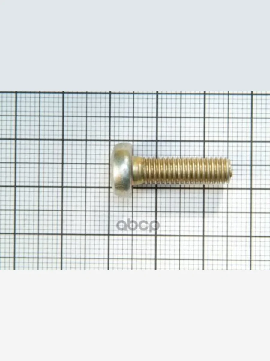 Винт М6*20 Подлокотника 2101 (00001-0032764-018) БелЗАН арт. 00001-0032764-018  в Перми Пермском крае