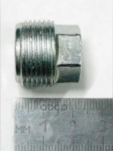 Пробка Картера Масляного Сливная Кпп Ваз 2108-2110,1118-2170 (22*1,5) (21080-1009156) БелЗАН арт. 21080-1009156-008