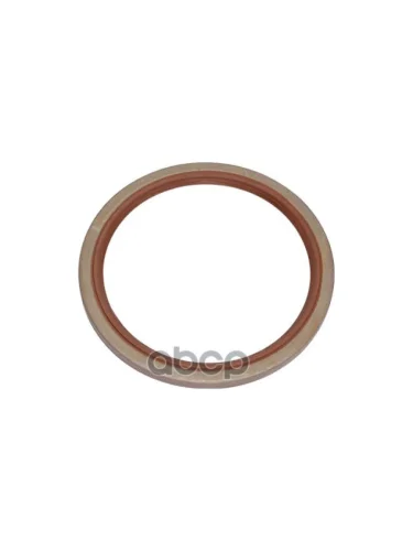 Радиальное Уплотнение Вала 132X160x10wd- MAN арт. 06562890387