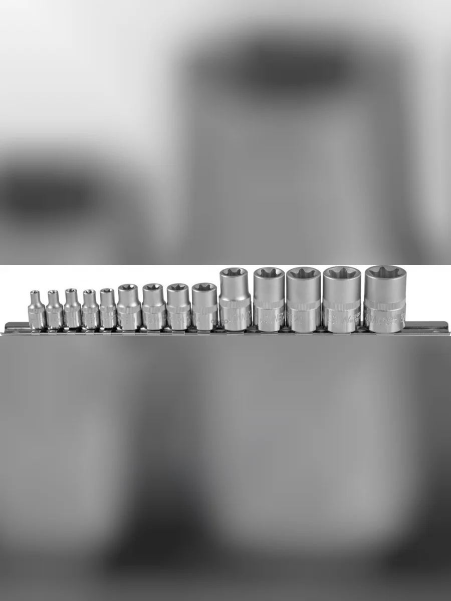 Набор Головок Torx 12, 14, 38 (14 Пред. E4-E24 Мм ) Jonnesway Рельс (S06h414s) Jonnesway арт. S06H414S  в Керчи Республика Крым