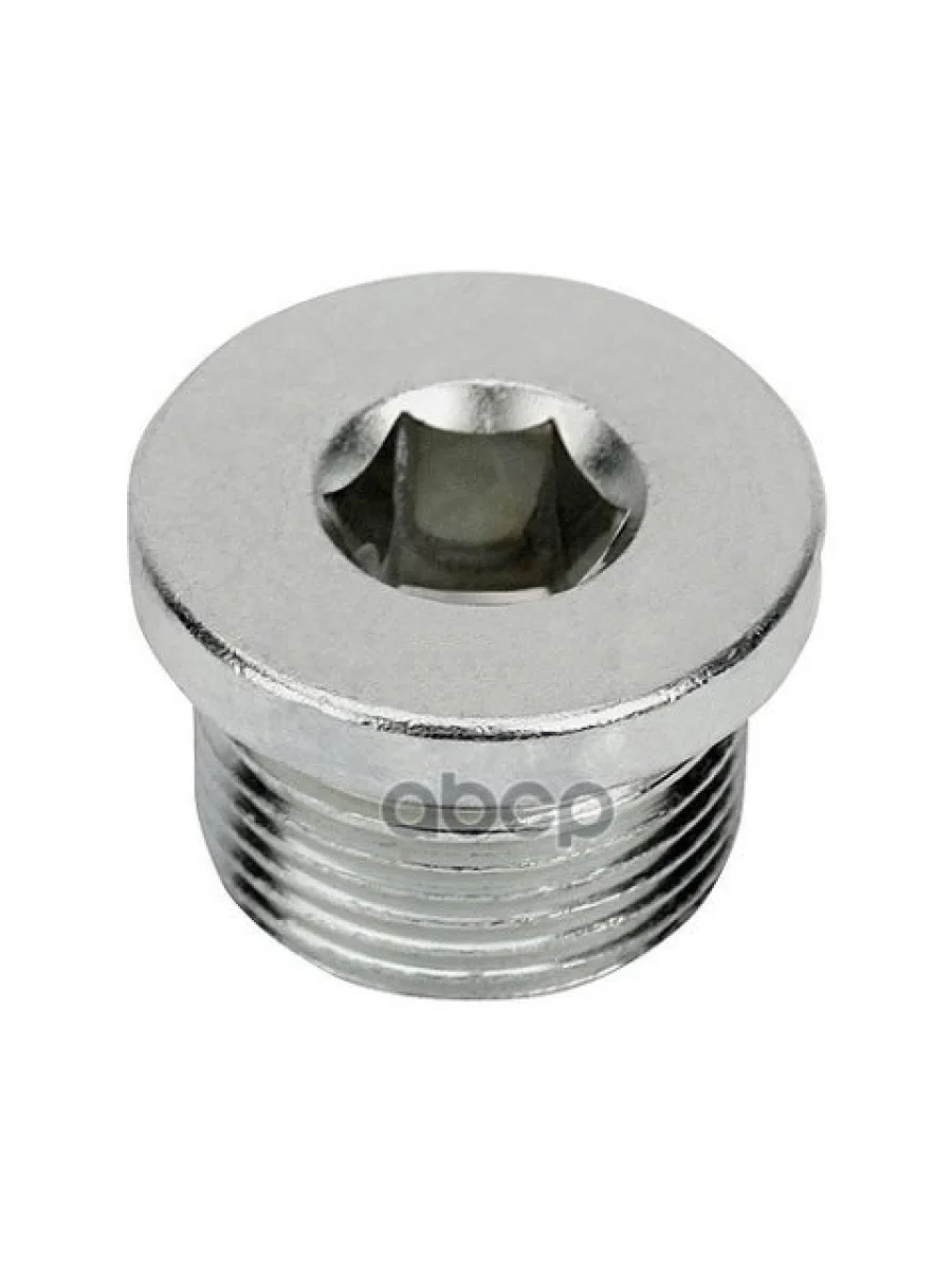 Резьбовая Заглушка M22x1,5-St-Man183-B1 06.08042-0307 MAN арт. 06.08042-0307  в Керчи Республика Крым