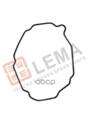 Прокладка Насоса Гур Sc LEMA арт. 2926121
