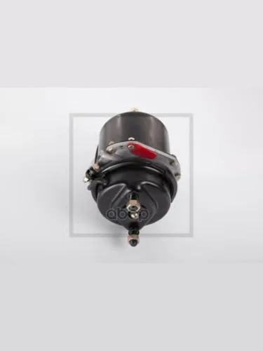 04644800A Энергоаккумулятор Для Дисковых Тормозов T2024Bpw PE Automotive арт. 04644800A