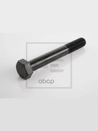 Болт М20х2,5Х100 PE Automotive арт. 07045300A