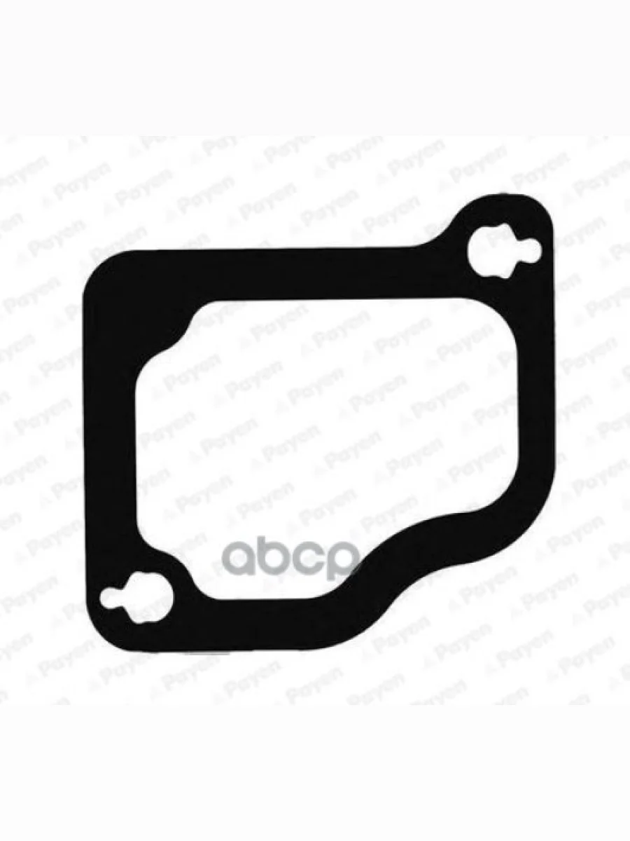 Прокладка Впускного Коллектора Vl Fl  Rvi Midlum Payen арт. JD5975  в Керчи Республика Крым