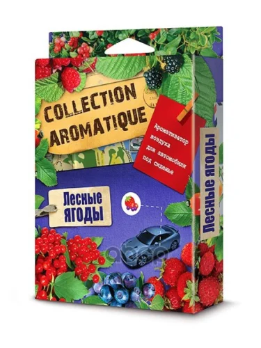 Ароматизатор Под Сиденье Fouette Collection Aromatigue Лесные Ягоды (200Мл) (Ca-12) Fouette арт. CA-12