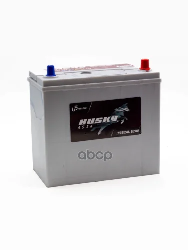 Аккумулятор  55 Husky Smf Asia Обратная Полярность (Тонкие Клеммы) Husky арт. 3B245550BB001