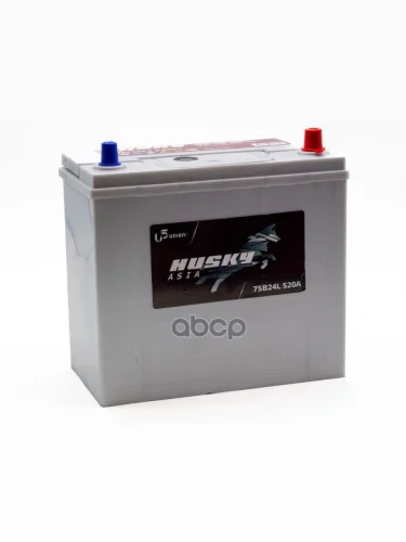 Аккумулятор  55 Husky Smf Asia Прямая Полярность (Тонкие Клеммы) Husky арт. 3B245551BB001