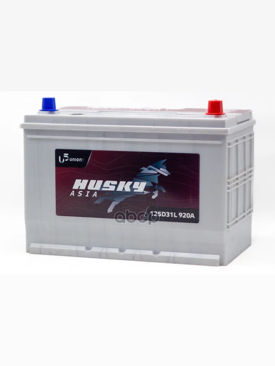Аккумулятор 100 Husky Smf Asia Обратная Полярность Husky арт. 3D316000AB011  в Самаре Самарской области
