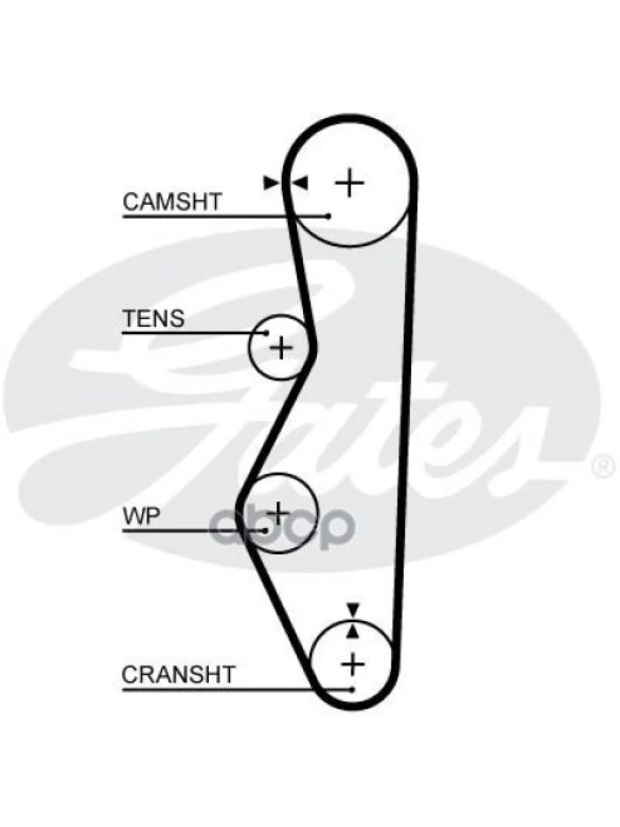 Ремень Грм Ваз 2108,2110,1118 (8 Клап.) Усил. Gates (5521Xs) Gates арт. 5521XS  в Керчи Республика Крым
