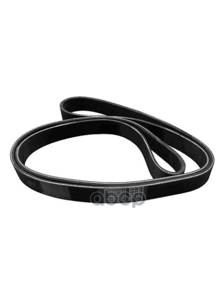 Клиновой Ребристый Ремень 8Pk192028,28 MAN арт. 51968200345  в Перми Пермском крае