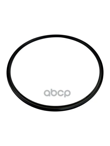 Маслоуплотнительное Кольцо 232X249x10 Ступицы Задней Sitrak Mcp16zg  Wg7121345015 AVLKRAFT арт. 70099918