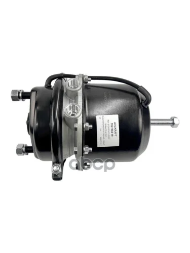 Энергоаккумулятор Задний Левый 2424 Для Дисковых Тормозов Sitrak C7h [4X2;6X2]  812W50410-6886 AVLKRAFT арт. 70250419