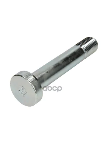 Болт Сайлентблока M30x17040 8.8 BPW арт. 03.341.05.05.0