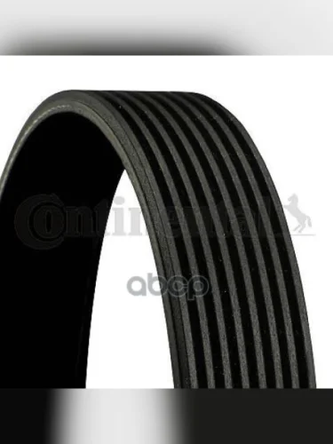 Ремень Поликлиновой Land Rover Range Rover Sport Mot.3,6Tdv8 Continental арт. 8PK1955