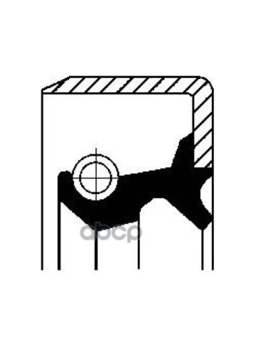 Уплотнительное Кольцо, Тормозная Колодка Corteco арт. 01031705B