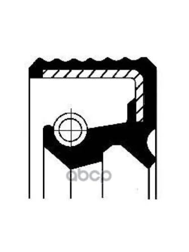 Сальник Первичного Вала Zf 12As1210to 55Х70х10 Corteco арт. 12032019B