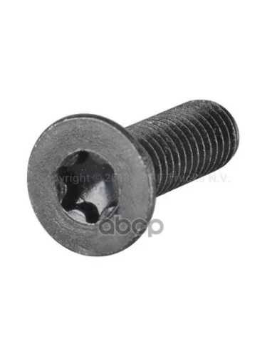 1299119 Винт М6 С Потайной Головкой Под Torx DAF арт. 1299119