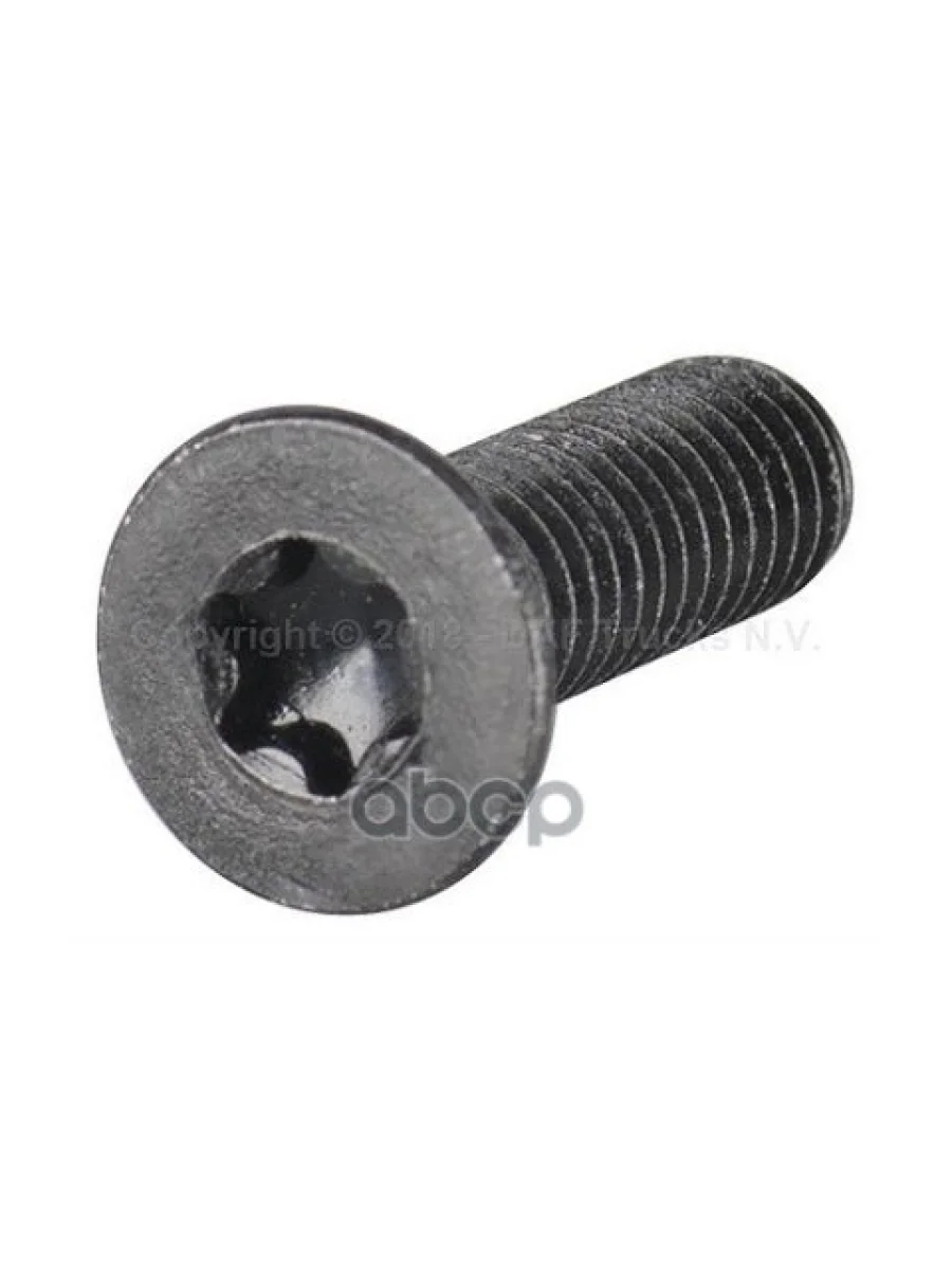 1299119 Винт М6 С Потайной Головкой Под Torx DAF арт. 1299119  с доставкой в г. Керчь