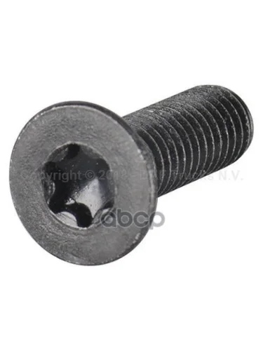 1299120 Винт Шестигранный M6x16 DAF арт. 1299120