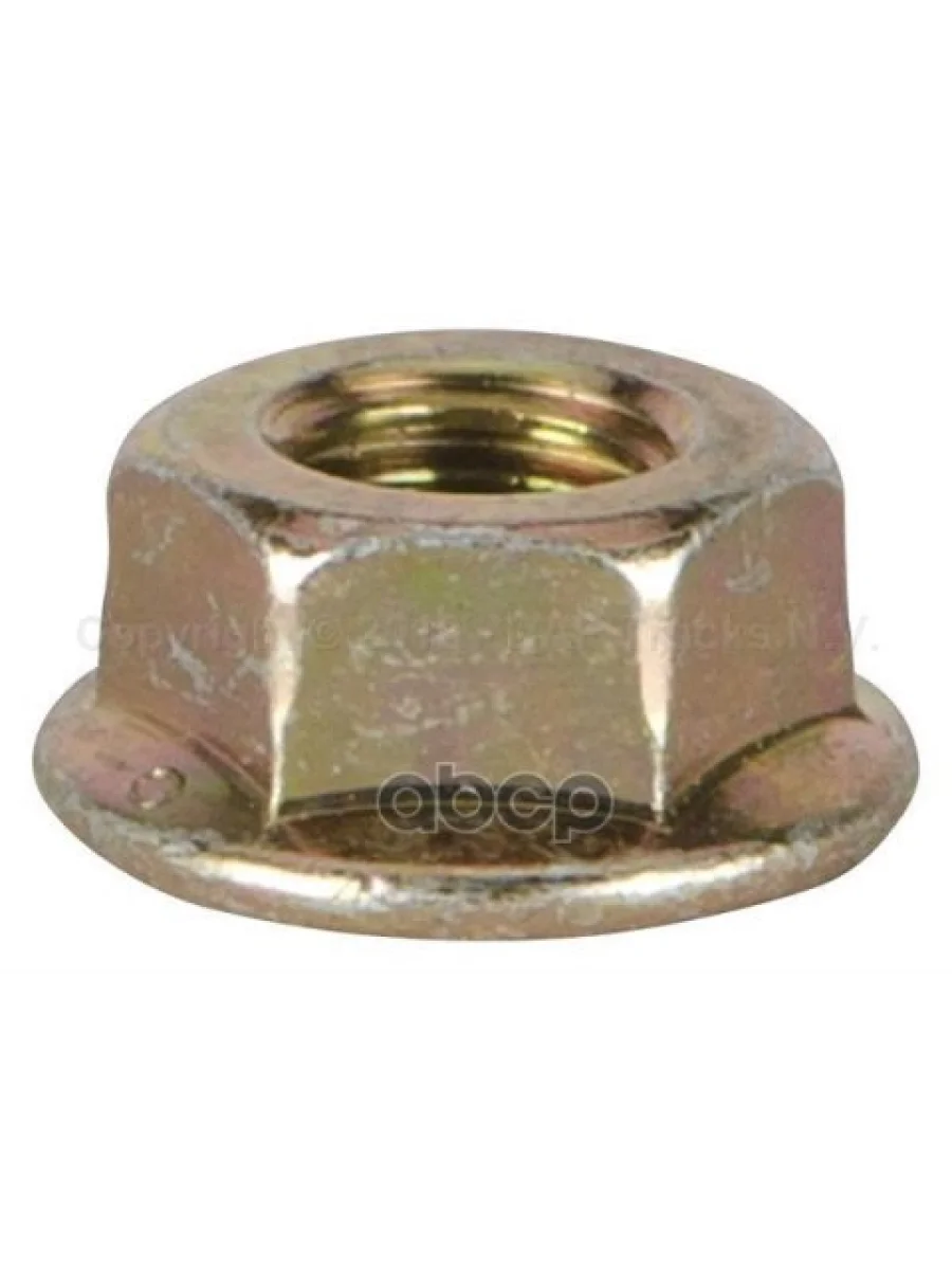 ***Гайка  M8-10 DAF арт. 1313142  с доставкой в г. Керчь