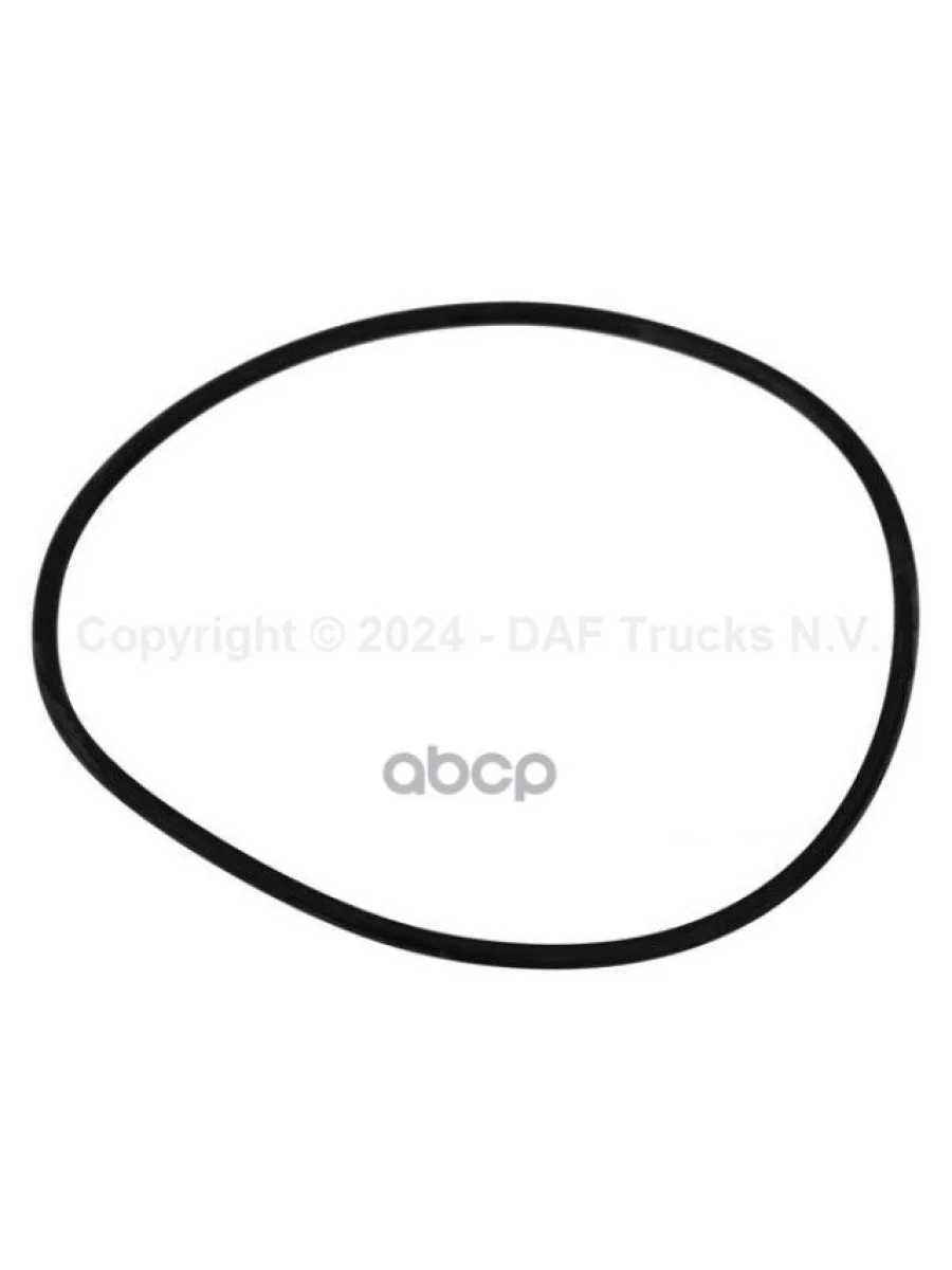 ***Уплотнительное Кольцо DAF арт. 1369874  с доставкой в г. Пермь