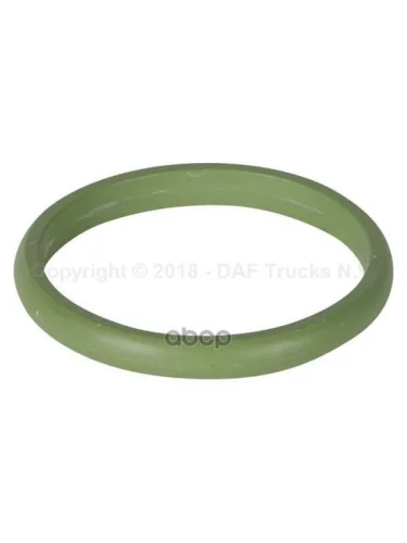 Кольцо Уплотнительное Масляной Трубки DAF арт. 1608394
