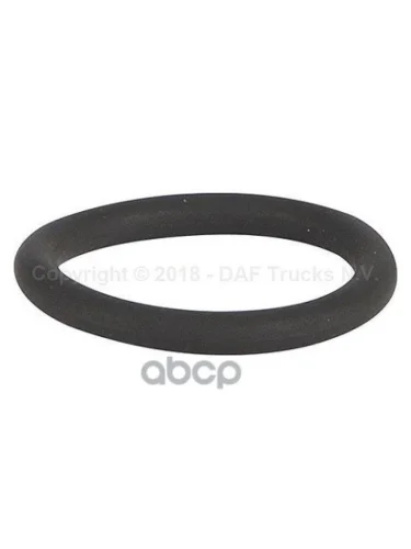 1634851 Кольцо 13.1X2.62 Mm DAF арт. 1634851
