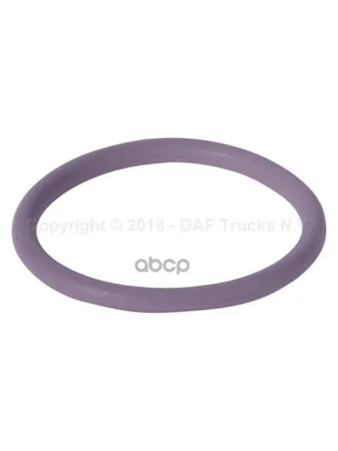 1638270 Кольцо Уплотнительное Форсунки Dmci DAF арт. 1638270