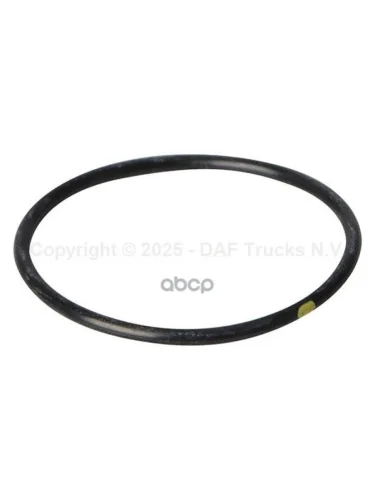 *Кольцо Уплотнительное Насоса Охлаждения D=53.37,D=3.53 DAF арт. 1661255