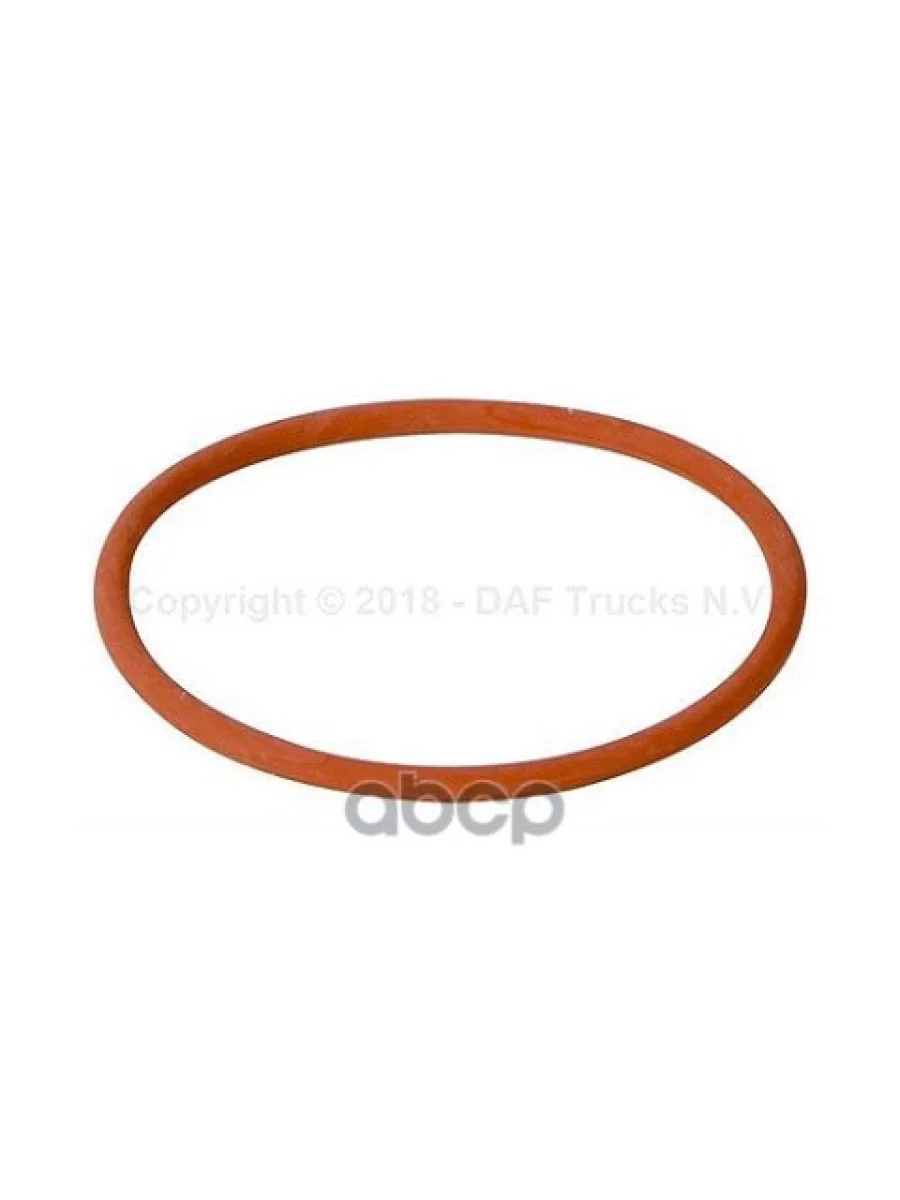 1664753 Кольцо Уплотнительное Топливного Насоса Резина DAF арт. 1664753  в Воронеже Воронежской области
