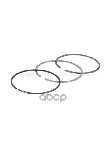 Набор Поршневых Колец Двс Мх DAF арт. 1873904