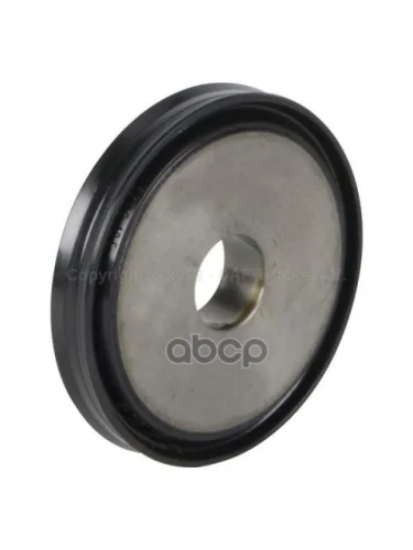 *Поршень Цилиндра Включения С Кольцом DafMan DAF арт. 1887735