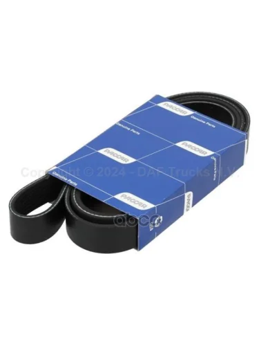 8Pk2070 Поликлиновой Daf Xf 106... DAF арт. 2382295