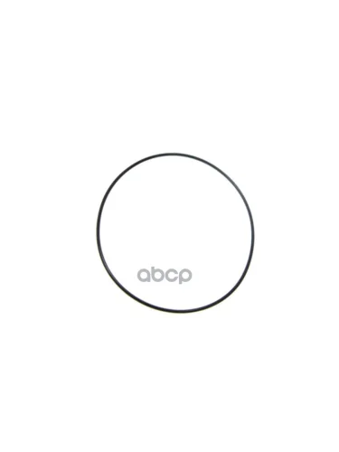 Кольцо Уплотнительное 166*160 Euroricambi арт. 60531646