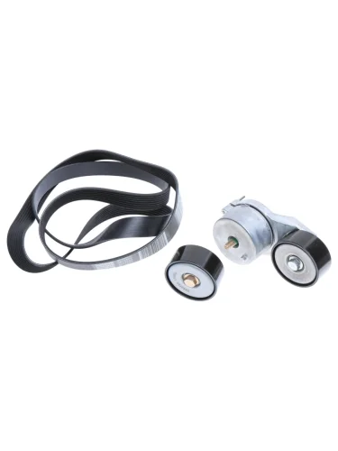 Комплект шкив, ремень DAF