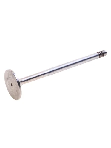 Клапан выпускной SCANIA P R series DT