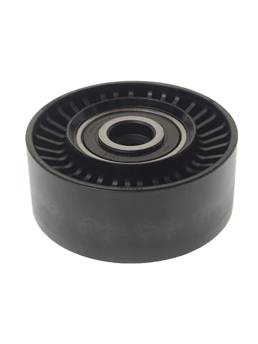 Ролик приводного ремня VW Crafter (12-13) обводной INA