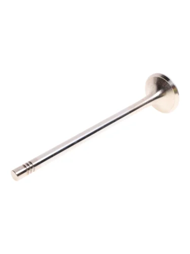 Клапан выпускной SHACMAN SHAANXI дв.WP12 двигателя MOVELEX