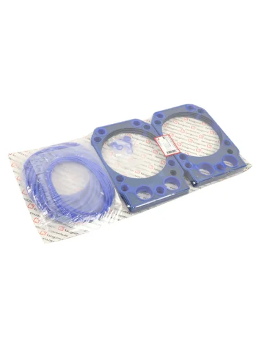 Ремкомплект КАМАЗ-ЕВРО двигателя РТИ силикон (4 поз.48 дет.на 8 цилиндров) КВАДРАТИС