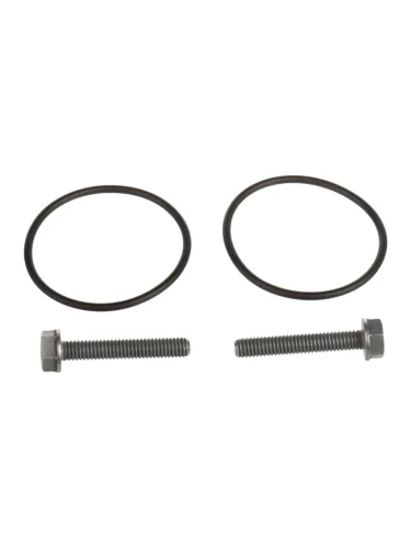 Кольцо уплотнительное VW Tiguan муфты HALDEX комплект OE