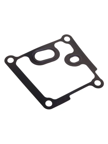 Прокладка FORD Focus радиатора масляного OE