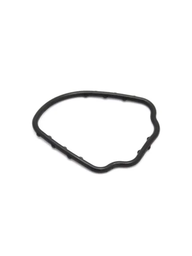 Прокладка коруса термостата VAG TOUAREG BMV 3.2