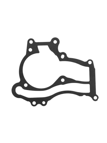 Прокладка насоса системы охлаждения GM AVEOCRUZE 1.21.4 A12XERA12XELA14NET