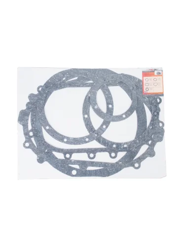 Прокладка КАМАЗ-ЕВРО-2 среднего моста комплект (6шт.) паронит ТЕХНОДРАЙВ