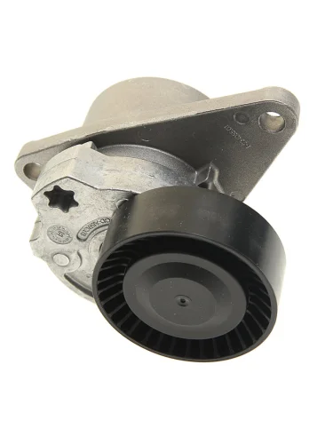 Ролик приводного ремня VOLVO S40,S60,S80,XC70,XC90 натяжителя (с демпфером) INA