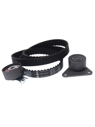 Комплект ГРМ VOLVO S40 (95-03),S60 (00-09) (1.61.82.0) INA